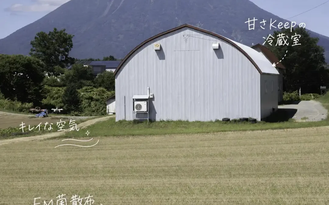 その日のうちに送らない理由