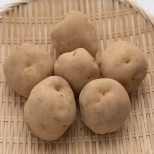 北海道真狩産 男爵芋